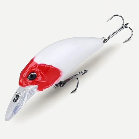 Fishing lure L60