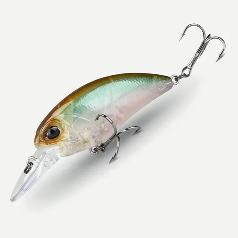 Fishing lure T106