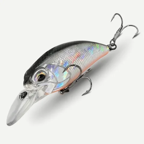 Fishing lure L54