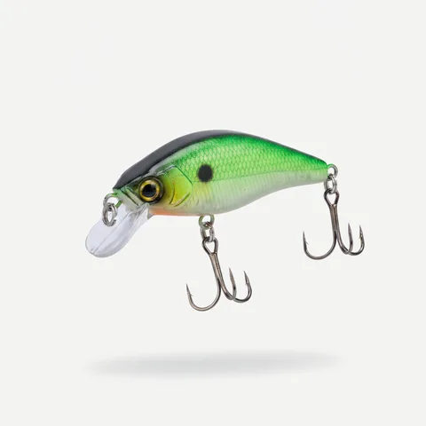 Green 0.8 100m