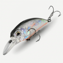 Fishing lure L54