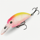 Fishing lure T104