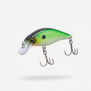 Green 0.8 100m