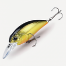 Fishing lure L63