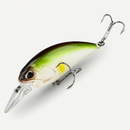 Fishing lure L61